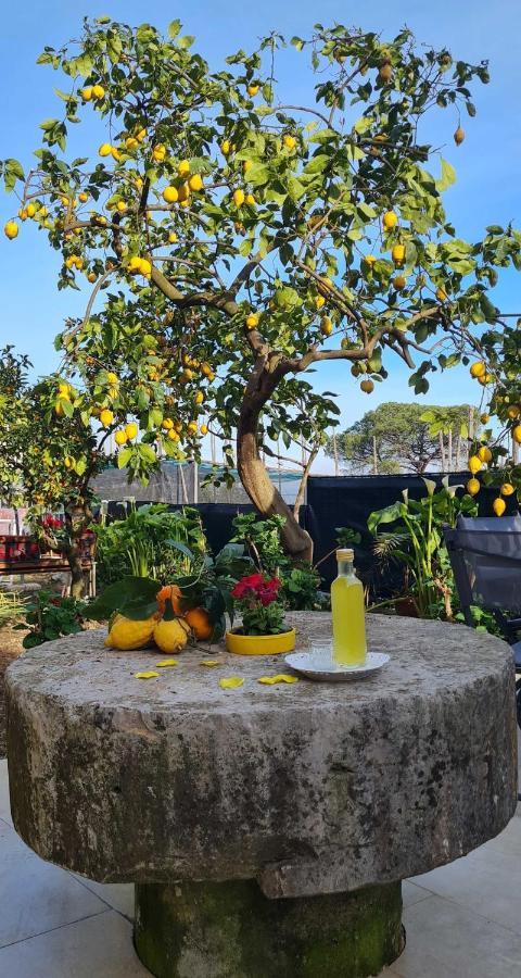 Rita Home B&B Sorrento Buitenkant foto